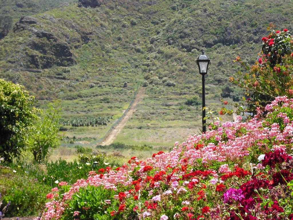 Finca El Picacho Apartments In The Countryside 2 Km From The Beach Tejina Zimmer foto