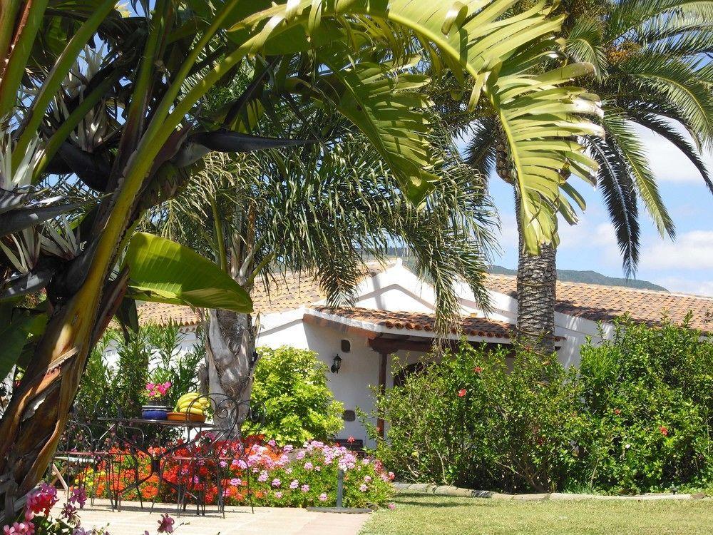 Finca El Picacho Apartments In The Countryside 2 Km From The Beach Tejina Exterior foto