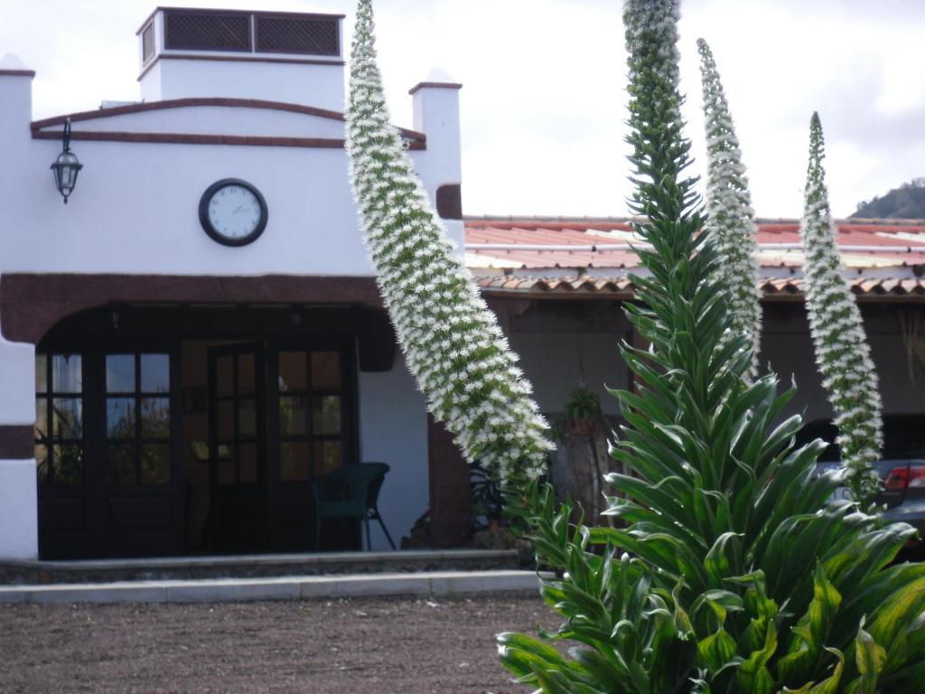 Finca El Picacho Apartments In The Countryside 2 Km From The Beach Tejina Exterior foto
