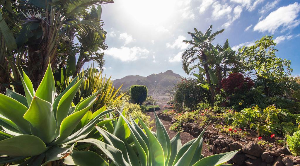Finca El Picacho Apartments In The Countryside 2 Km From The Beach Tejina Zimmer foto